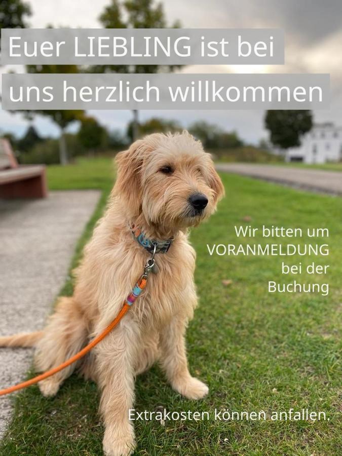Fewo Johan - Ideal Fuer 1-2 Personen, Eigene Terrasse Hamm  Bagian luar foto